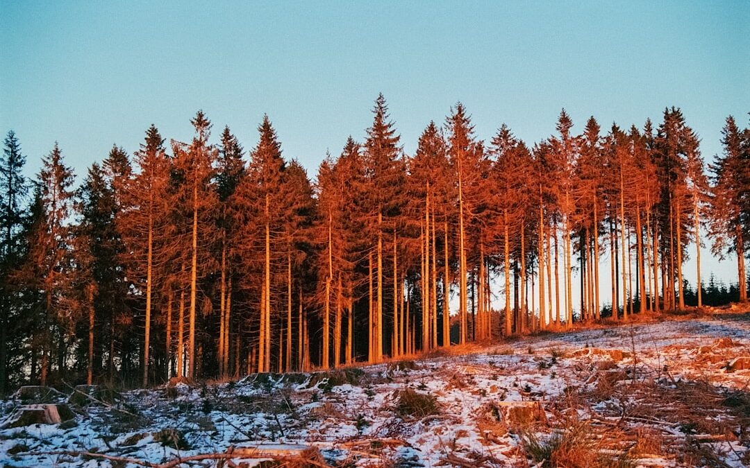 Explorando Destinos Míticos: Lugares Sagrados por Descubrir